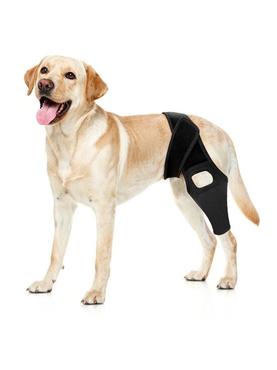 Other - orme Dog Knee Brace Torn ACL, Leg Post-Surgery Recovery, Arthritis Large
